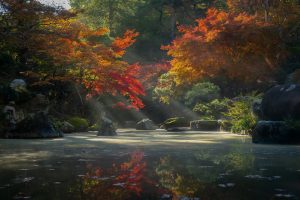 Peaceful image of lake & trees