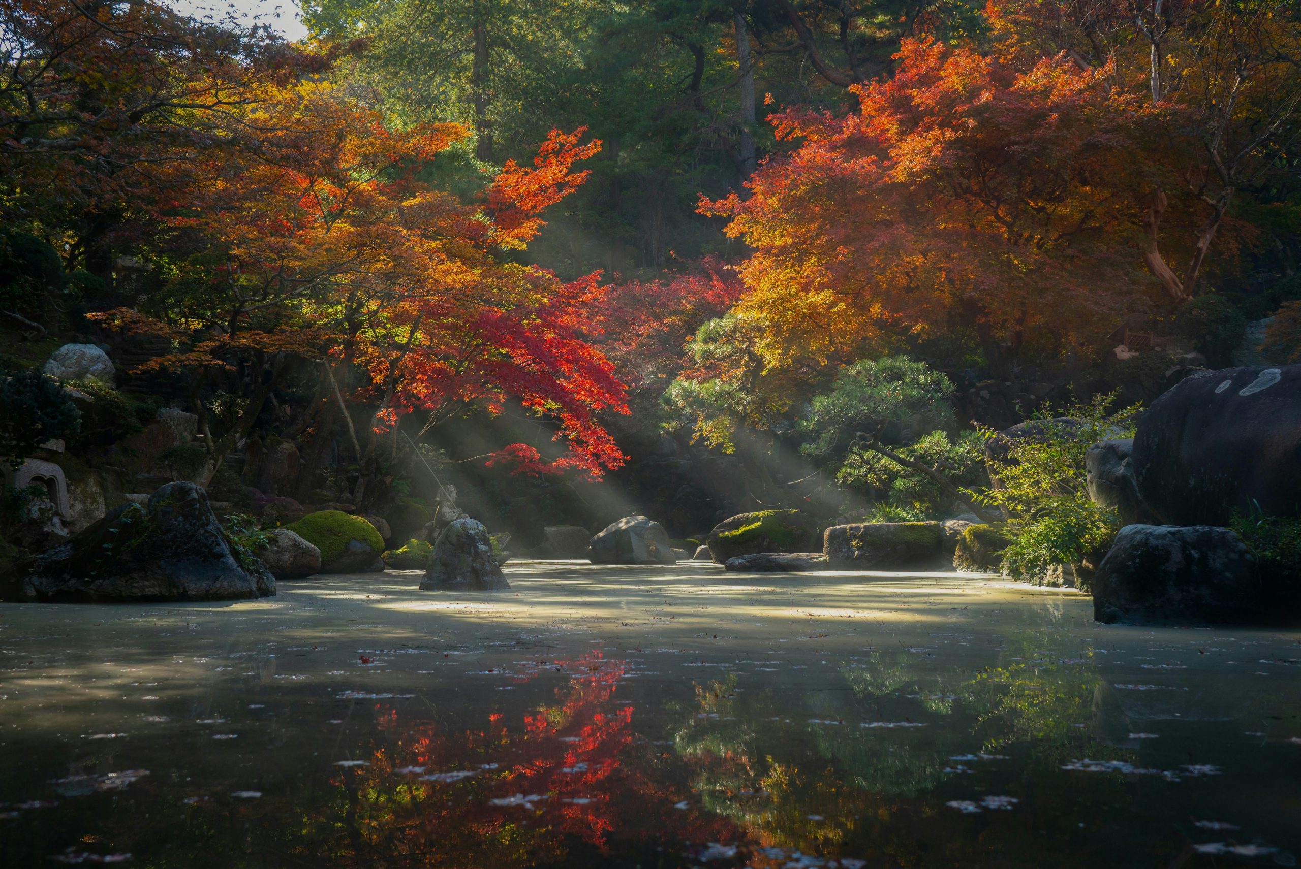Peaceful image of lake & trees
